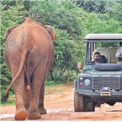 YALA NATIONAL PARK